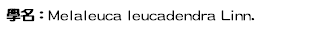 學名：Melaleuca leucadendra Linn.