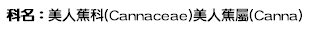 科名：美人蕉科(Cannaceae)美人蕉屬(Canna)