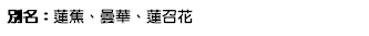 別名：蓮蕉、曇華、蓮召花