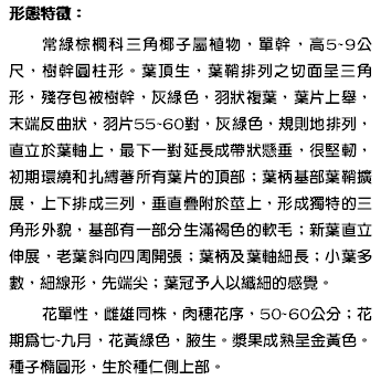 形態特徵： 常綠棕櫚科三角椰子屬植物，單幹，高5~9公尺，樹幹圓柱形。葉頂生，葉鞘排列之切面呈三角形，殘存包被樹幹，灰綠色，羽狀複葉，葉片上舉，末端反曲狀，羽片55~60對，灰綠色，規則地排列，直立於葉軸上，最下一對延長成帶狀懸垂，很堅軔，初期環繞和扎縛著所有葉片的頂部；葉柄基部葉鞘擴展，上下排成三列，垂直疊附於莖上，形成獨特的三角形外貌，基部有一部分生滿褐色的軟毛；新葉直立伸展，老葉斜向四周開張；葉柄及葉軸細長；小葉多數，細線形，先端尖；葉冠予人以纖細的感覺。 花單性，雌雄同株，肉穗花序，50~60公分；花期為七~九月，花黃綠色，腋生。漿果成熟呈金黃色。種子橢圓形，生於種仁側上部。