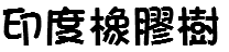 印度橡膠樹