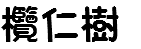 欖仁樹