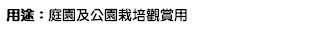 用途：庭園及公園栽培觀賞用