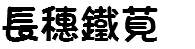 長穗鐵莧